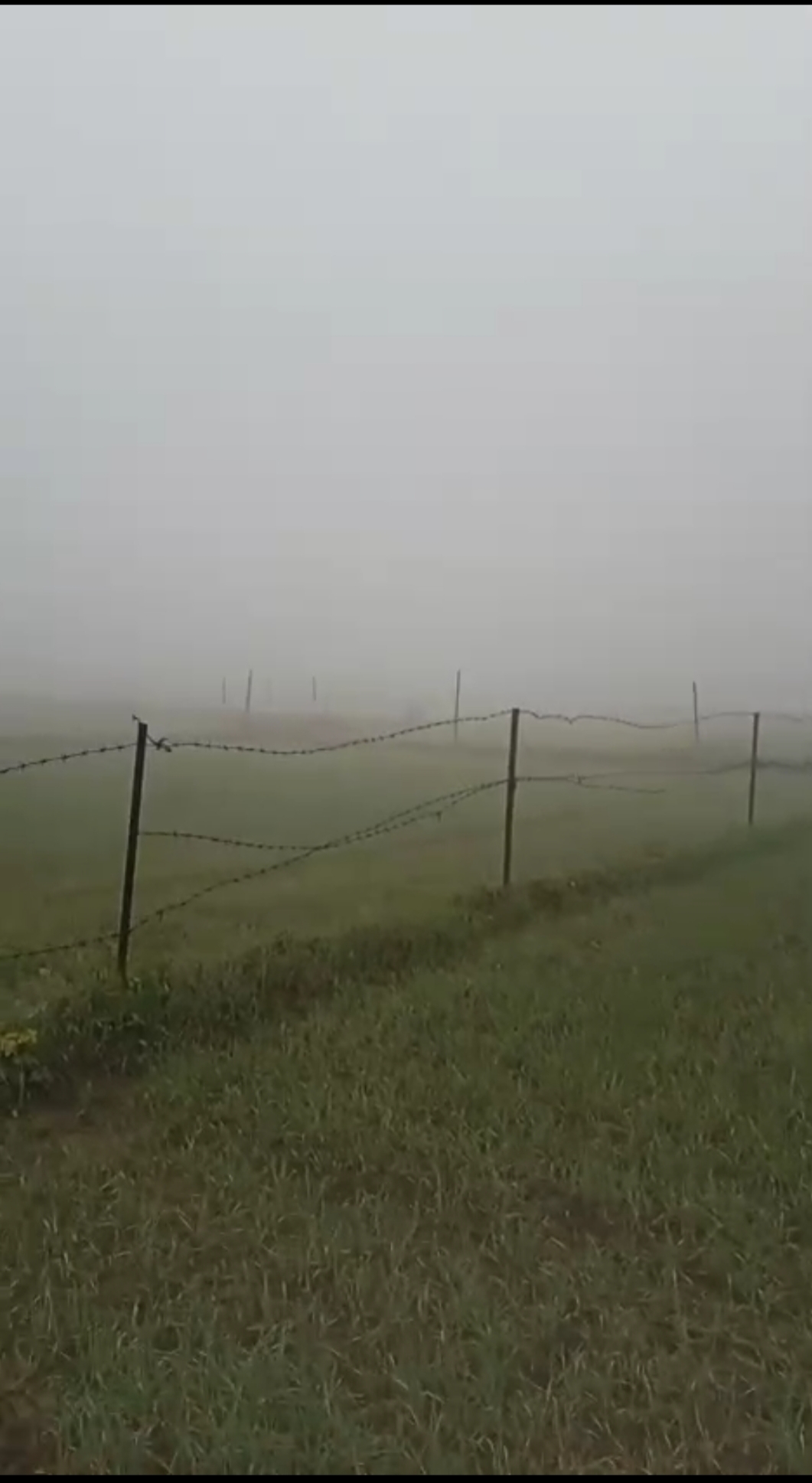 देहरादून के नेपाली फार्म क्षेत्र में मौसम ने ओडी कोहरे की चादर बड़ी ठंड