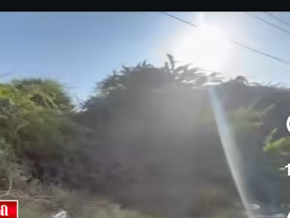 વડોદરા હરણી સમા રોડ પર વન્યજીવ દેખાઈ આવ્યું